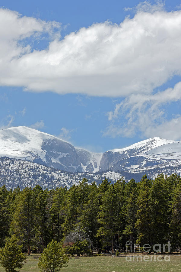 Bighorn Mountains in Wyoming 2 Photograph by Natural Focal Point Photography