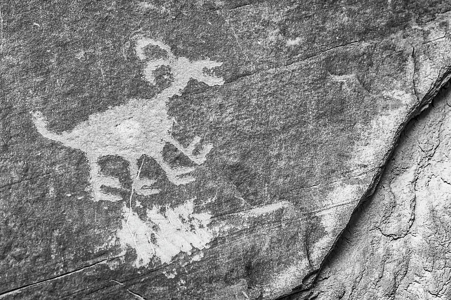 Bighorn Petroglyph BW Photograph by Susan Candelario