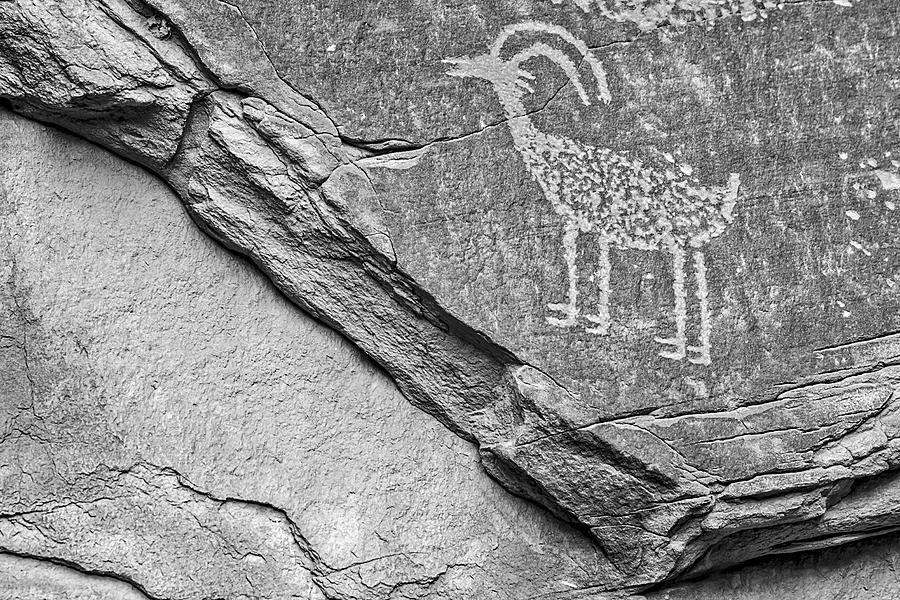 Bighorn Petroglyph II BW Photograph by Susan Candelario