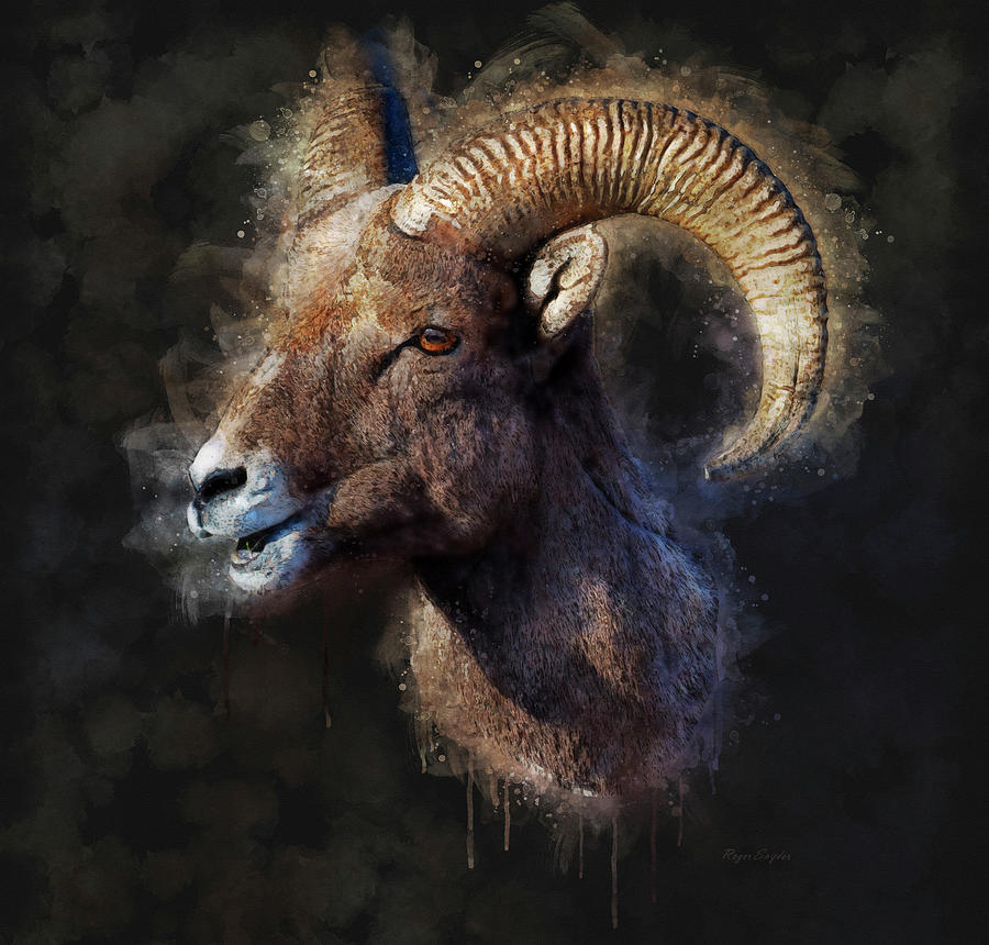 Bighorn Ram 2 Painting by Roger Snyder