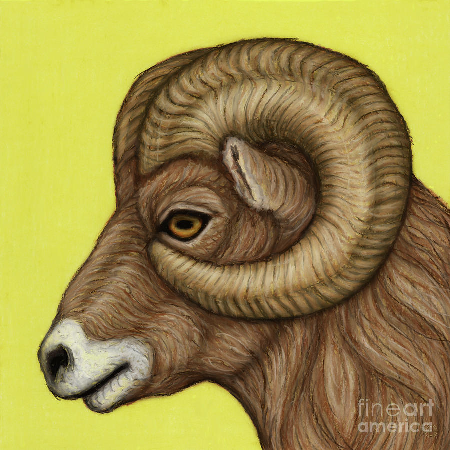 Bighorn Ram Profile Painting by Amy E Fraser