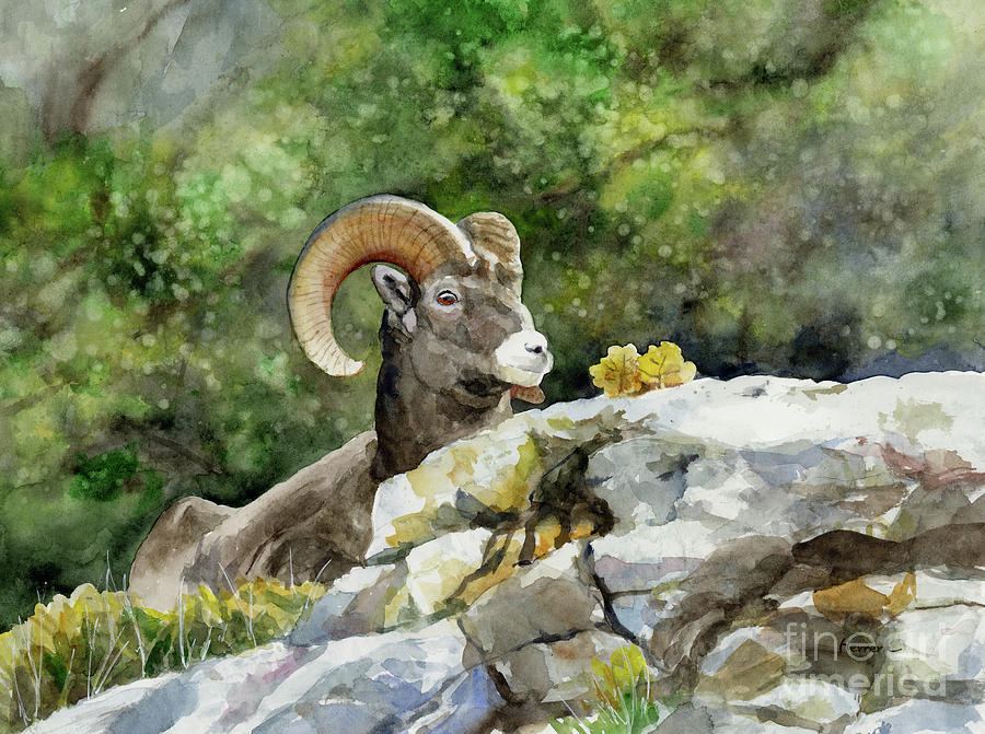 Bighorn Sheep Painting
