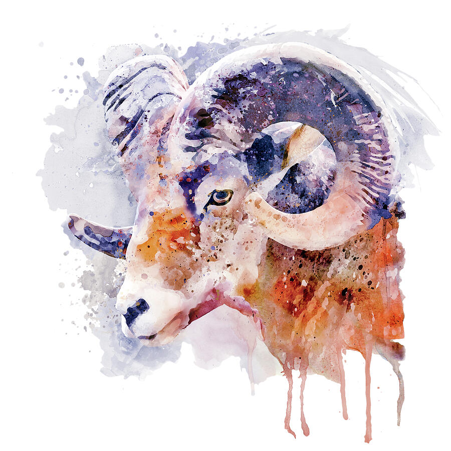 Wildlife Painting - Bighorn Sheep Watercolor portrait by Marian Voicu