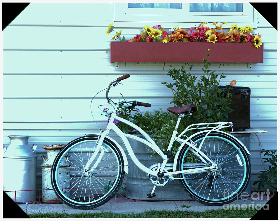 Bike and Flowers Photograph by Kae Cheatham