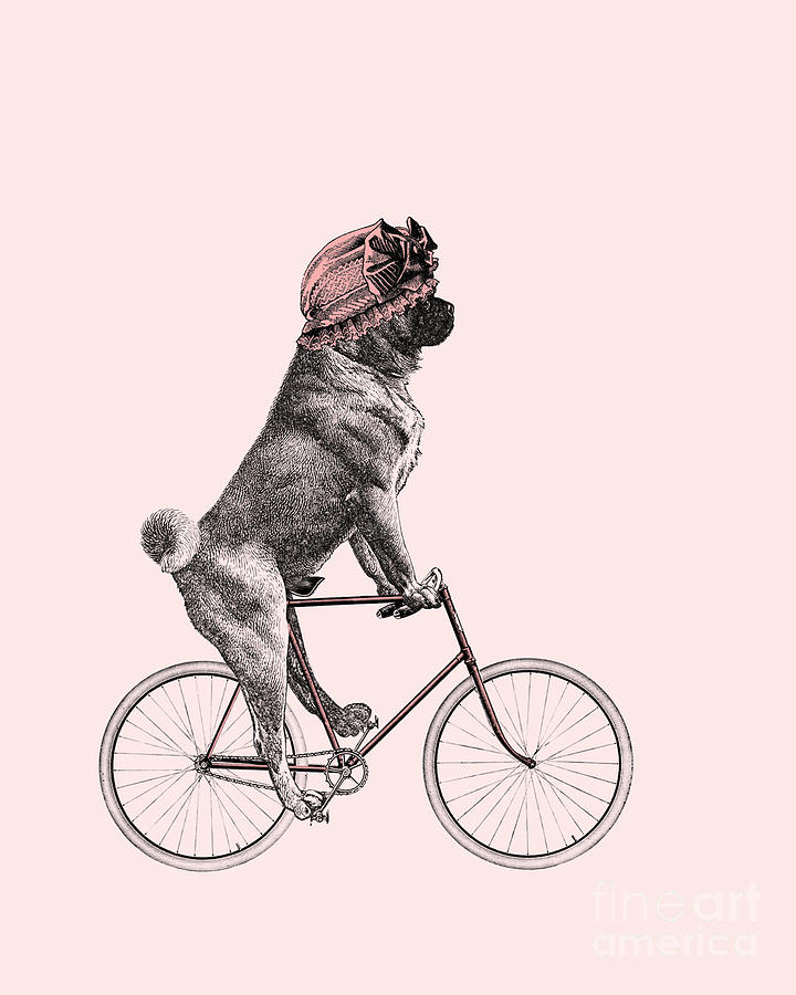 Pug Digital Art - Bike Pug With Bonnet by Madame Memento