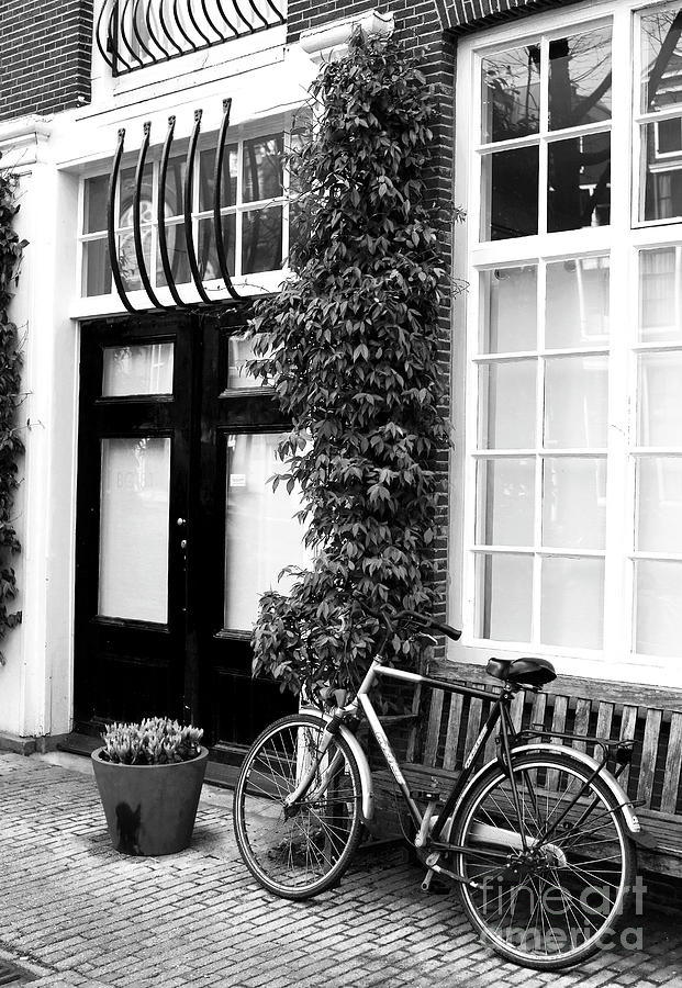 Bike Under the Moss in Amsterdam Netherlands Photograph by John Rizzuto