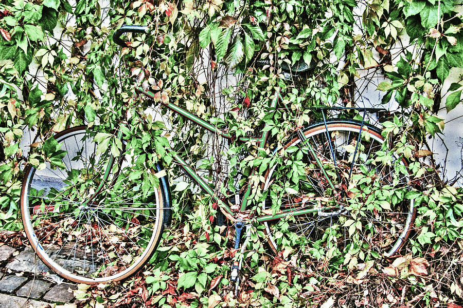 Bike Vanishing In The City Photograph