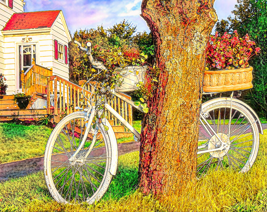Bike with flowers Digital Art by Tatiana Travelways