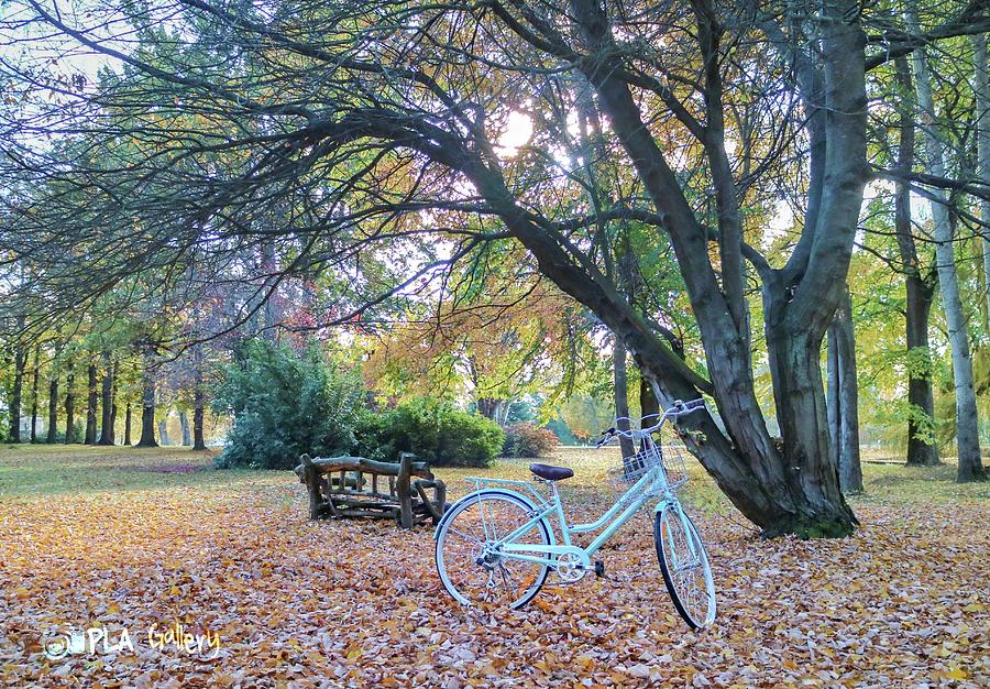 Biking in Autumn  Photograph by Pla Gallery