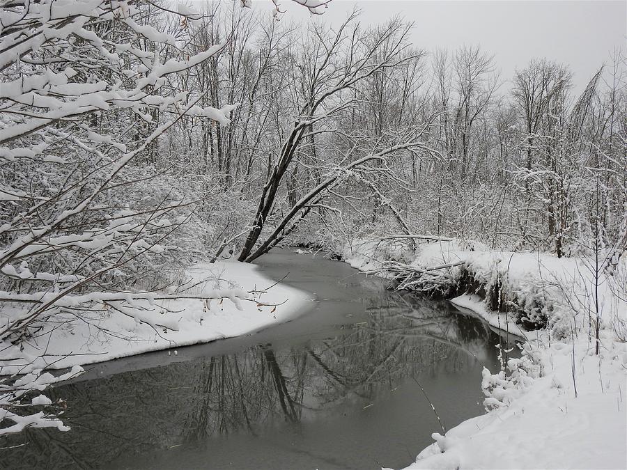 Bilberry Creek Photograph by Betty-Anne McDonald