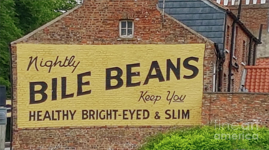 Bile Beans York England UK Photograph by Pics By Tony