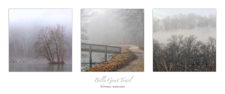Billy Goat Trail Fog Triptych Photograph