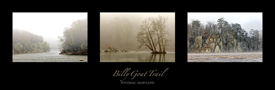 Billy Goat Trail Foggy Triptych Photograph