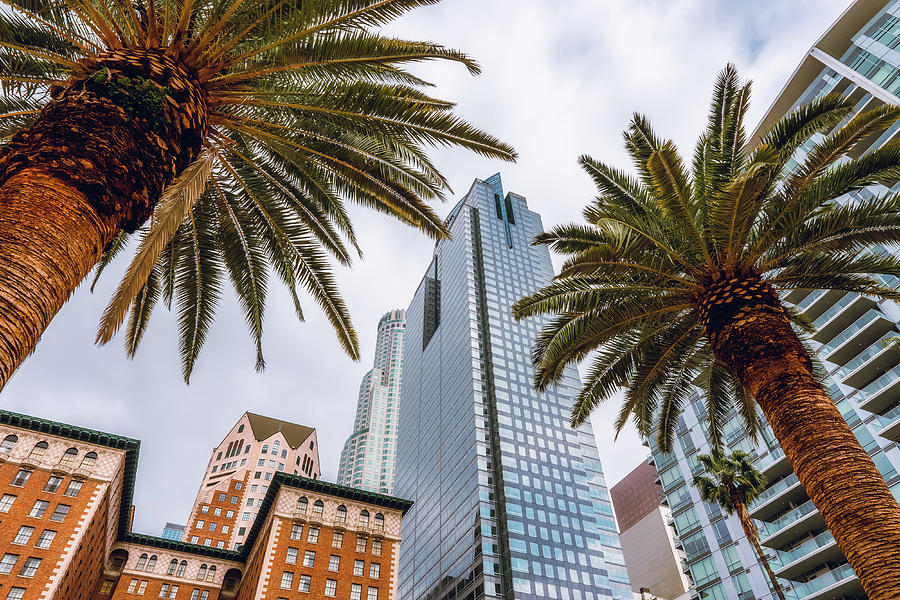 Biltmore Hotel, U.S. Bank Tower, and the Deloitte building, LA ...