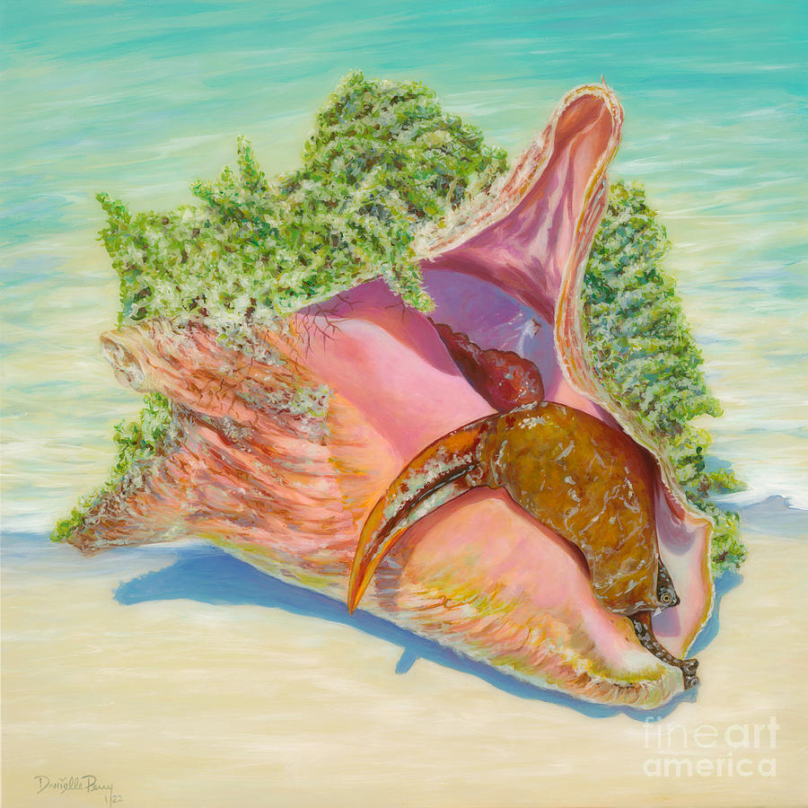 Bimini Queen Conch Painting by Danielle Perry