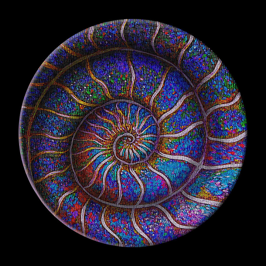 Binary Ammonite Mixed Media