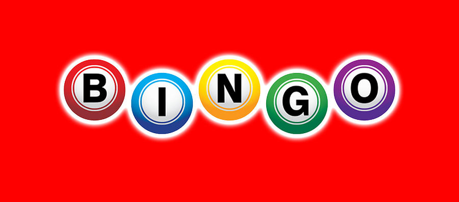 Bingo. Digital Art by Tom Hill - Fine Art America