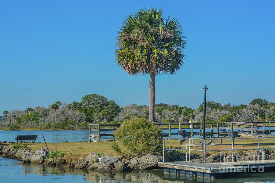 Bings Landing On The Intracoastal Waterway Of The Palm Coast In Flagler ...