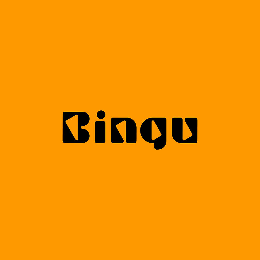 Bingu #Bingu Digital Art by TintoDesigns