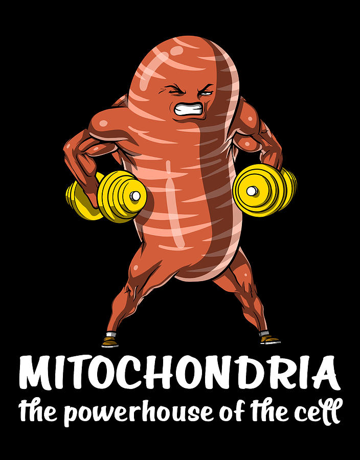 Biology Mitochondria Digital Art by Nikolay Todorov - Pixels