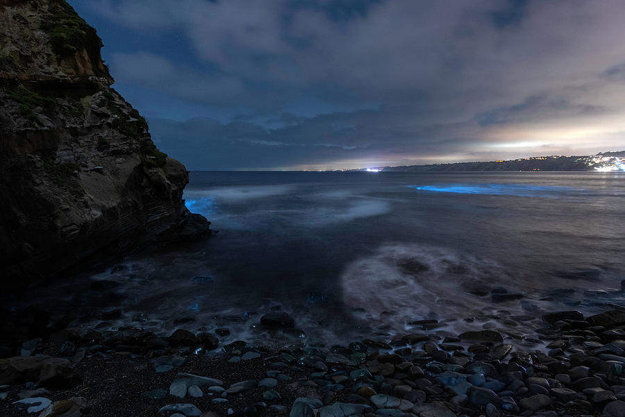 Bioluminescence at the Cove Photograph by Scott Cunningham