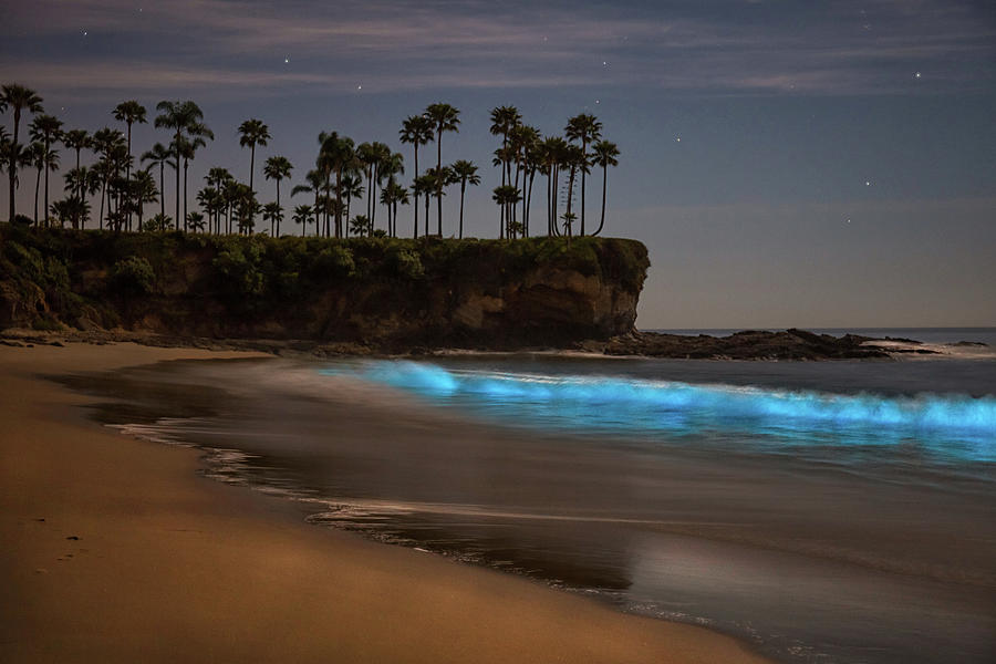 Bioluminescent waves at Laguna Beach Photograph by Cliff Wassmann