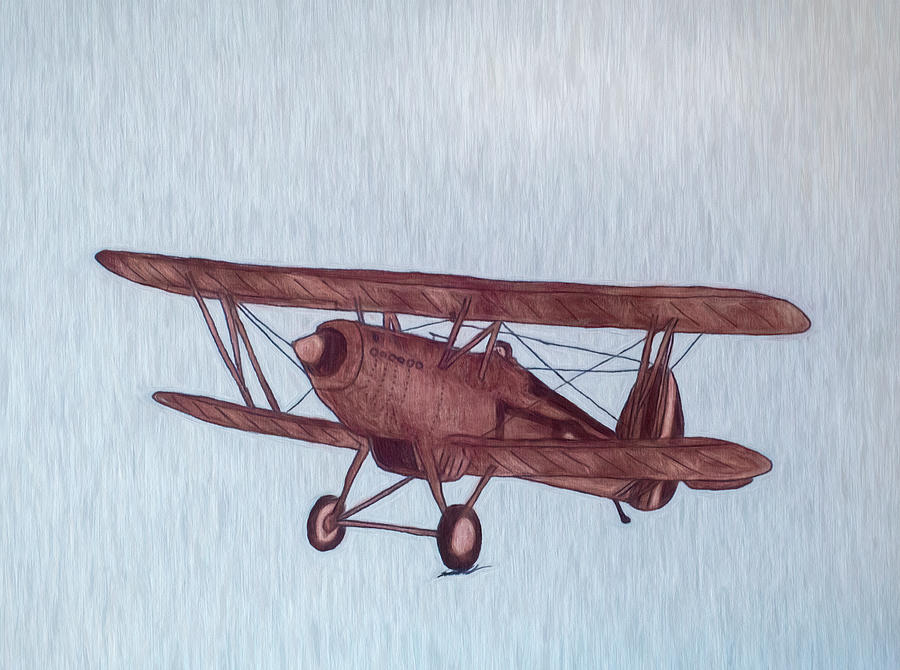 Biplane Painting by Steven Richardson
