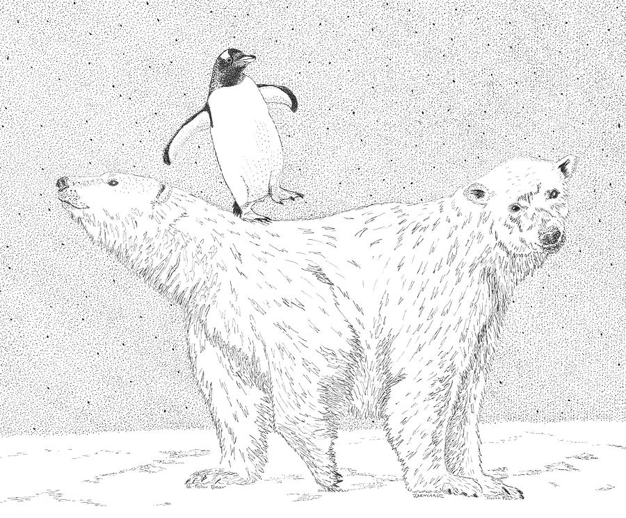 BiPolar Bear Drawing by Jenny Armitage