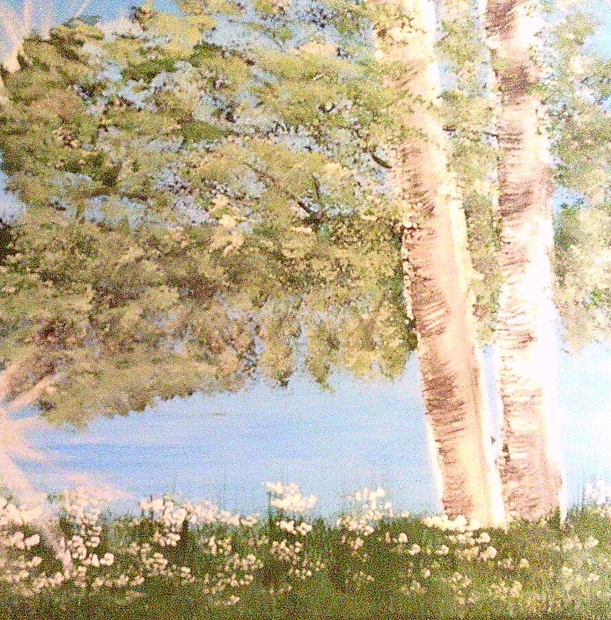 Tree Painting - Birch and Lake by Vicky Wells