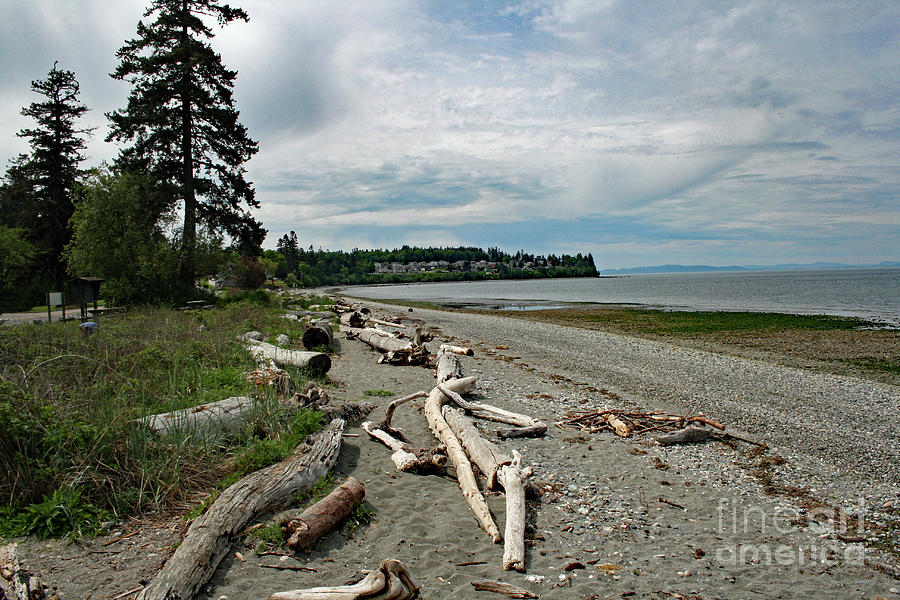 Birch Bay State Park Photograph by Norma Appleton