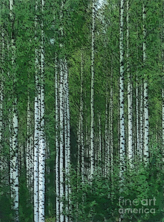 Birch Forest Digital Art by Diana Rajala