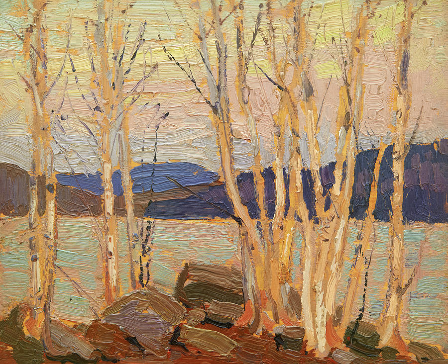 Tree Painting - Birch Grove, Algonquin Park by Tom Thomson