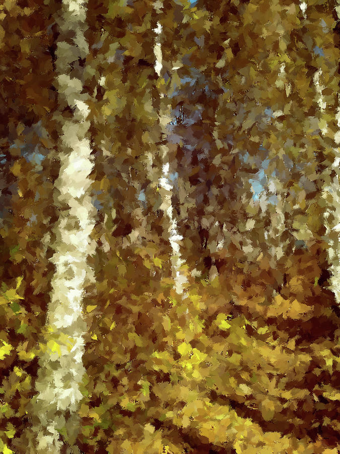 Birch Grove in the Fall Painting by Alex Mir
