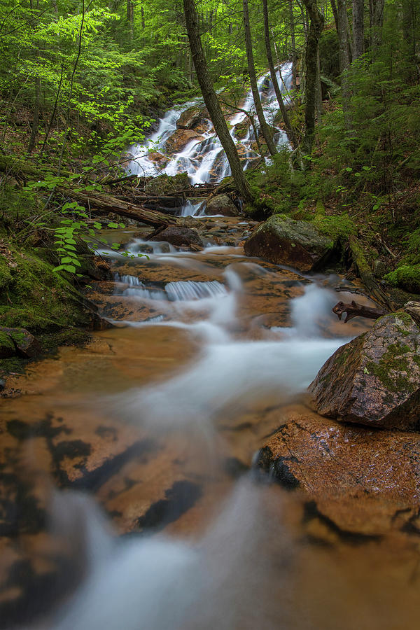 Birch Island Brook Falls Spring Photograph by White Mountain Images