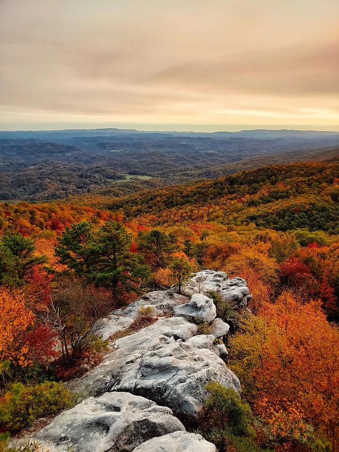 Birch Knob Observation Tower Photograph by Matthew Ison - Fine Art America