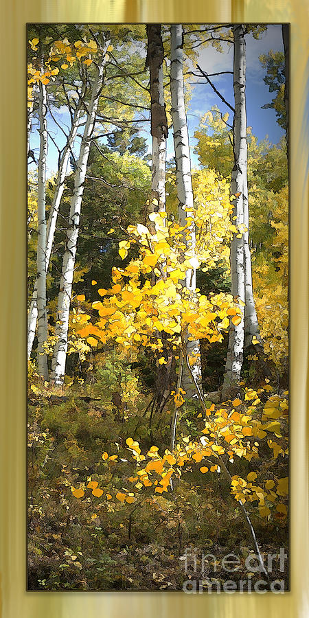 Birch on Background Digital Art by Deb Nakano
