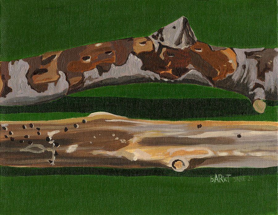 Birch sticks Painting by Jane Dunn Borresen
