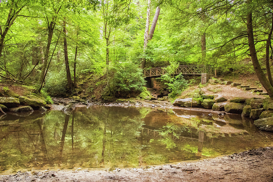 Birch Trail Bridge Photograph by Cora Ahearn | Fine Art America