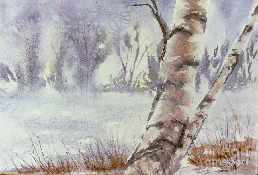 Snowy Birch Tree  Watercolor Painting  Painting by Catherine Ludwig Donleycott