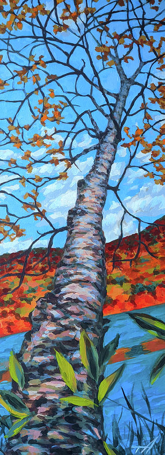 Birch Tree In Fall Painting By Victoria Voner Fine Art America   Birch Tree In Fall Victoria Voner 