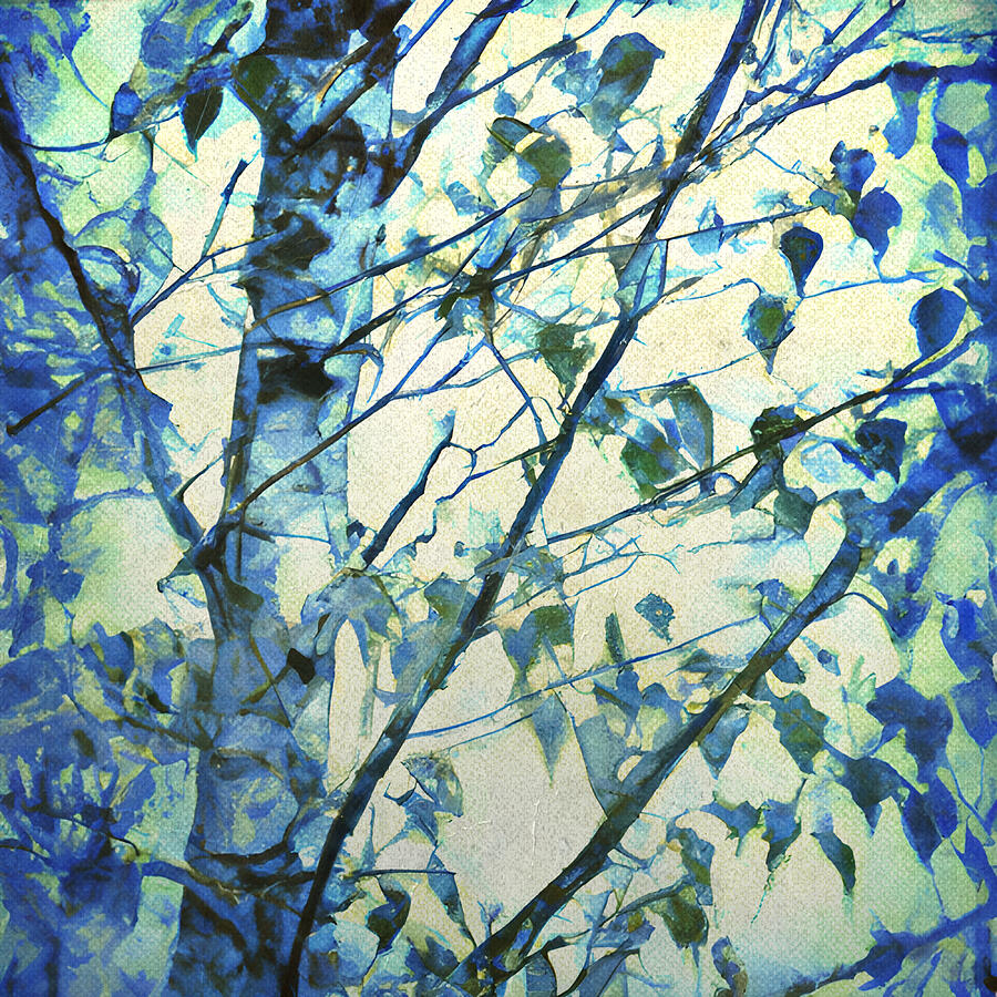 Birch Tree Spring Foliage Photograph by Amalia Suruceanu