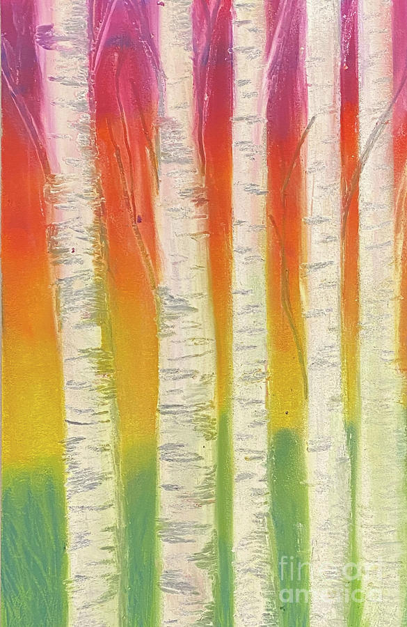 Birch Trees at Sunset Pastel by Lisa Neuman