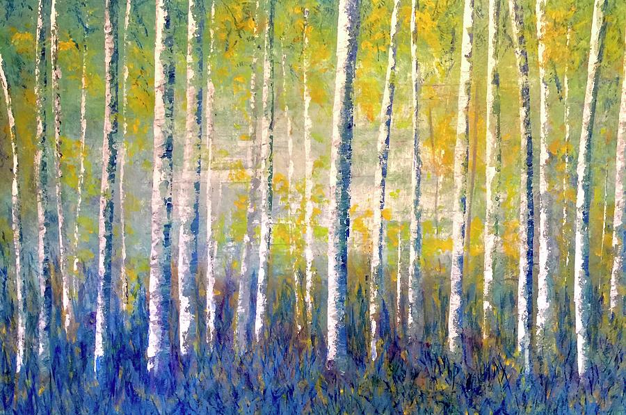 Birch trees  Painting by Caroline Swan