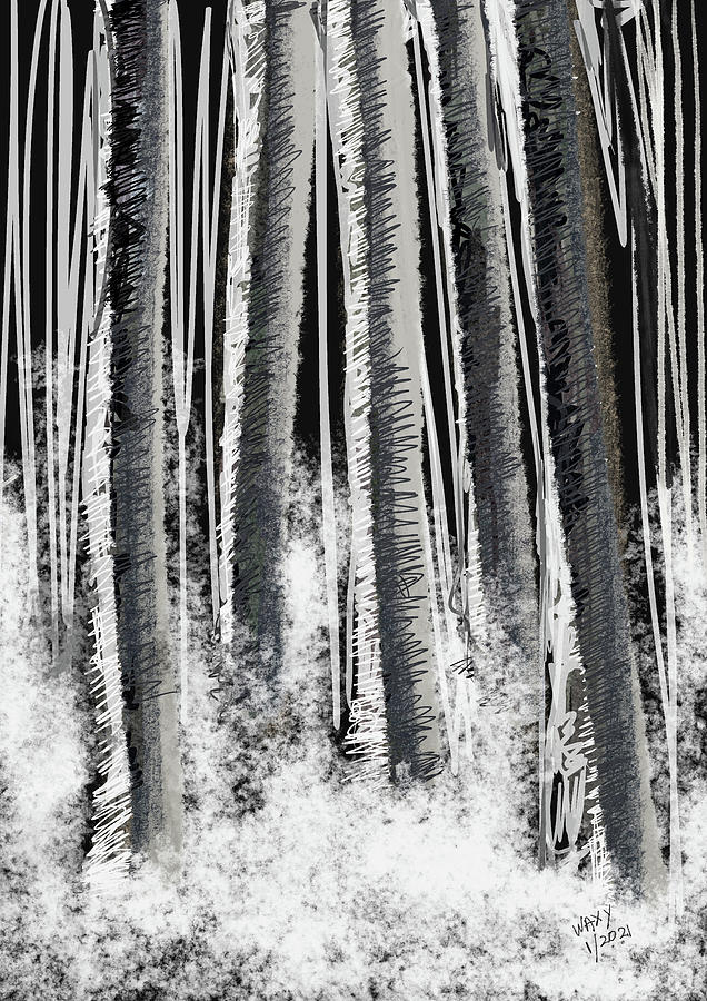 Birch Trees Digital Art