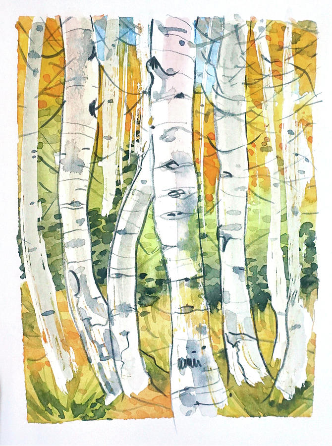 Yosemite National Park Painting - Birch Trees by Luisa Millicent