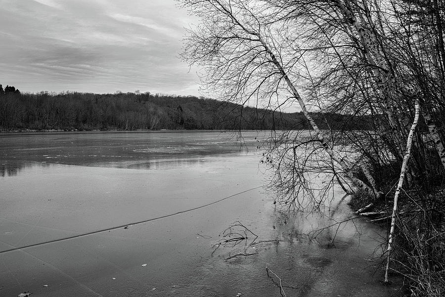 Birch Trees on a Frozen Lake Photograph by Alan Goldberg