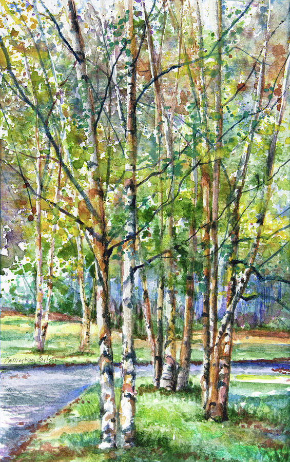 Birch Trees Painting - Birch Trees by Patricia Allingham Carlson