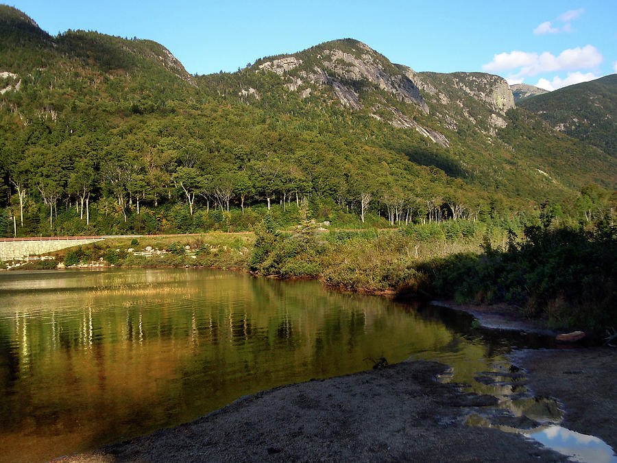 Birches and Cliffs in Franconia Notch Photograph by Nancy Griswold