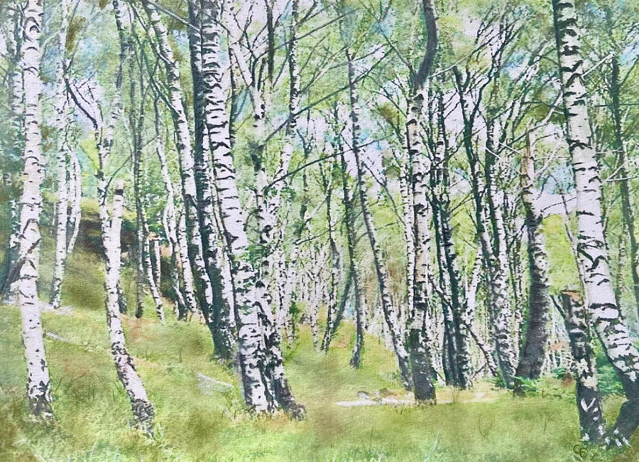 Birches Painting by Cara Frafjord