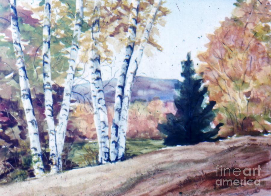 Birches in Autumn Painting by Catherine Ludwig Donleycott